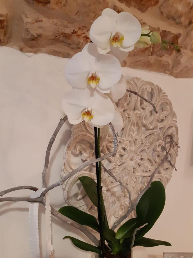 Donna Lucrezia Dimora A Corte B&B Conversano Luaran gambar