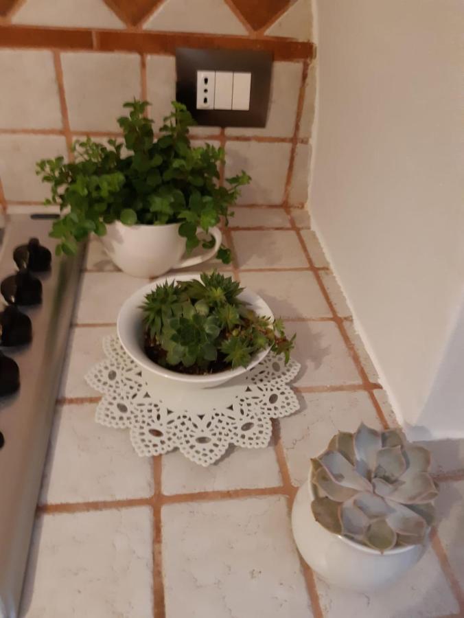 Donna Lucrezia Dimora A Corte B&B Conversano Luaran gambar